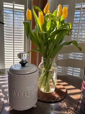 White Ceramic Coffee Canister 5” tall, 15” around.